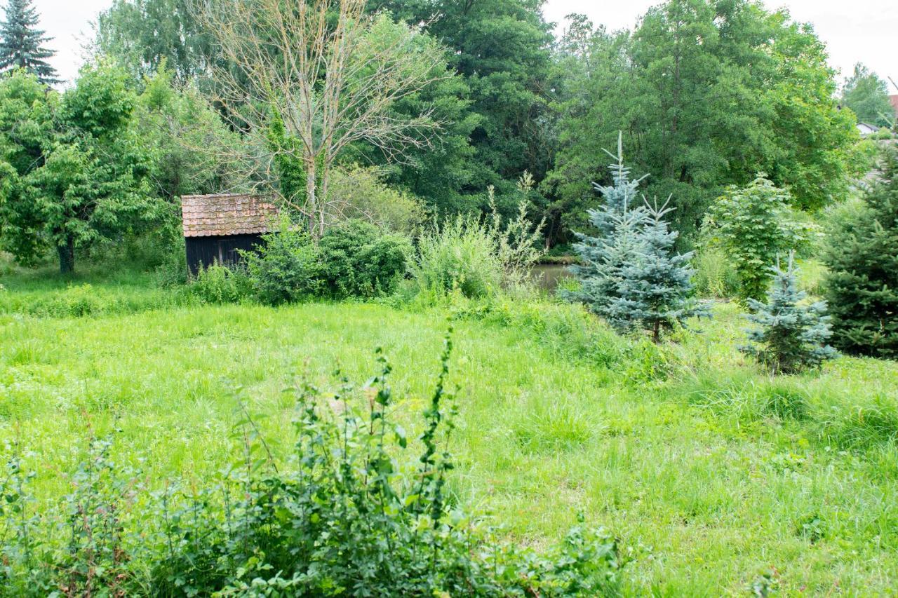 Ferienwohnung Auf Ehemaligen Bauernhof In Der Naehe Von Bamberg Walsdorf  Exterior photo
